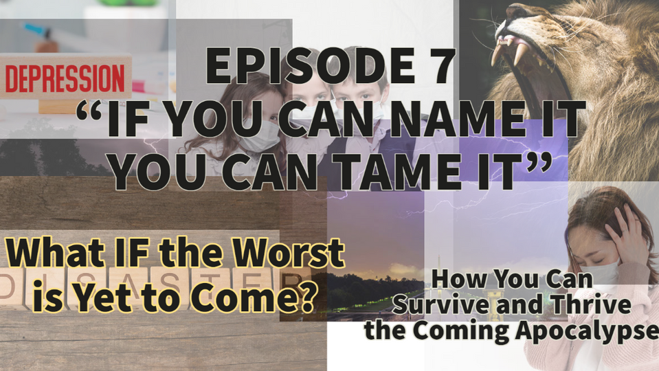 EPISODE 7 - "IF YOU CAN NAME IT YOU CAN TAME IT" : How to Survive and Thrive the Coming Apocalypse